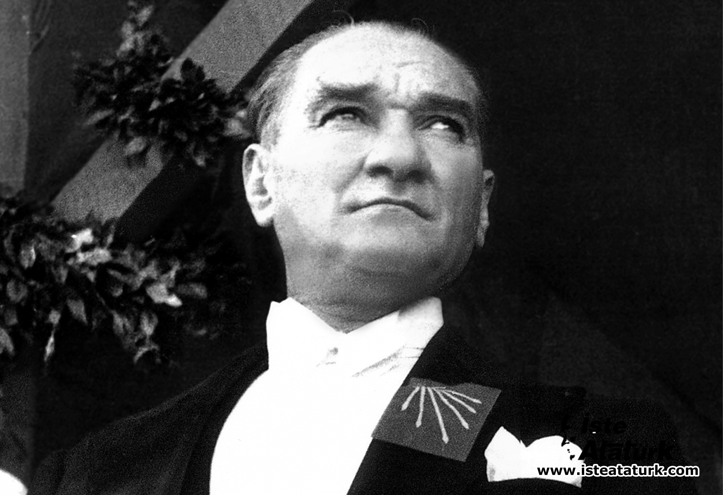 Atatürk's Principles and Other Trends