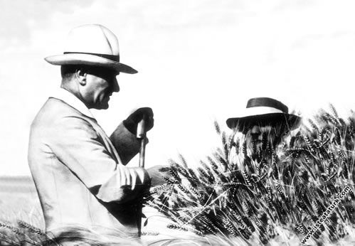 Mustafa Kemal Atatürk Gazi Orman Çiftliği'nde incelemelerde bulunurken. (14.07.1929)